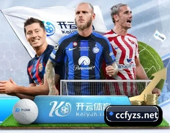 星空网网页版入口的故事