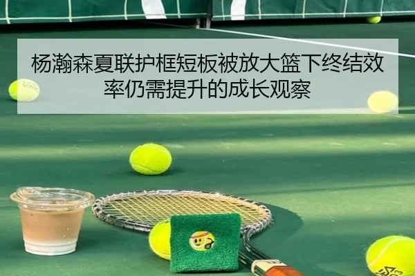 杨瀚森夏联护框短板被放大篮下终结效率仍需提升的成长观察